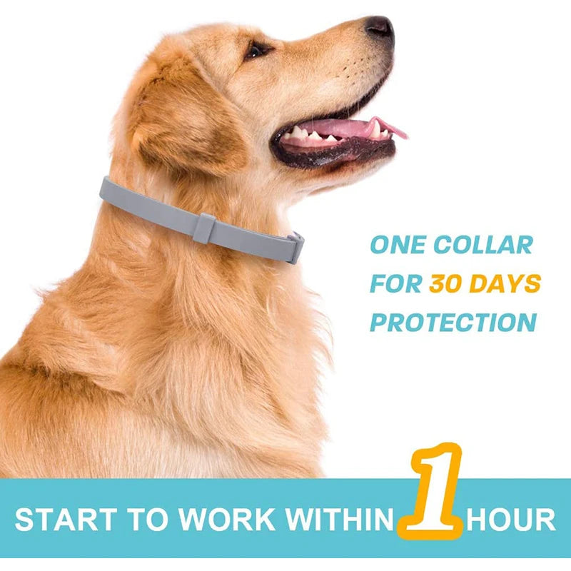 Benepaw Effective Calming Collar for Dogs Anti-Anxiety Relieve Stress Nontoxic Water-Resistant Adjustable Pet Puppy Collars
